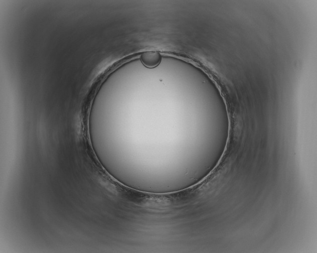 X0000110741215200906221022