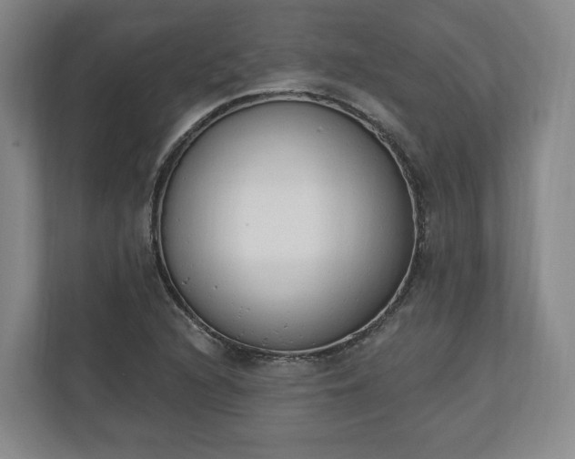 X0000110741216200906221022