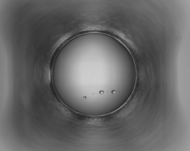 X0000110741221200906221022