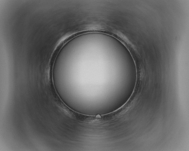 X0000110741222200906221022