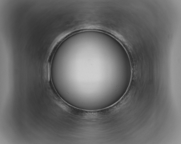 X0000110741223200906221022