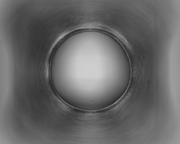 X0000110741224200906221022