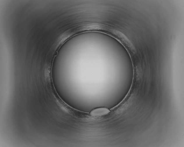 X0000110741225200906221022