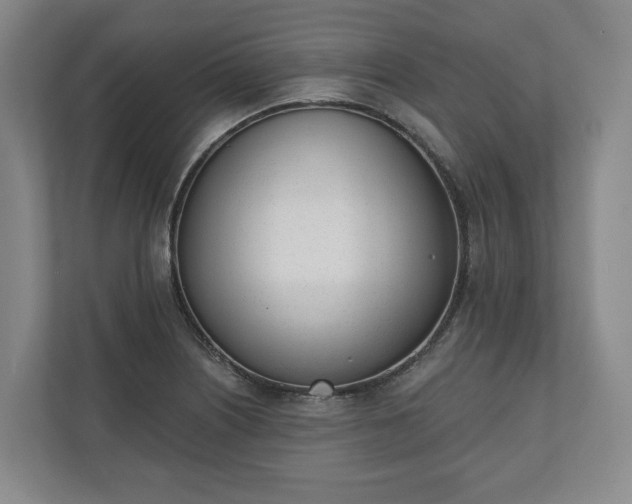 X0000110741226200906221022