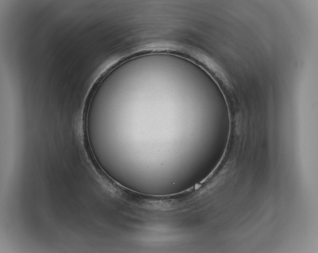X0000110741229200906221022