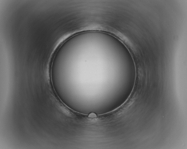 X0000110741230200906221022