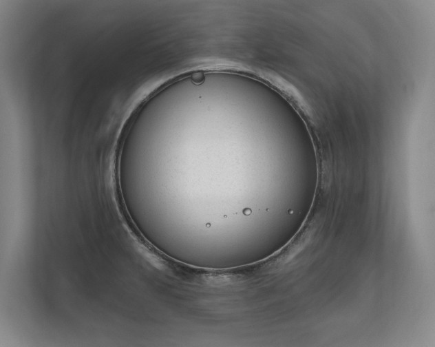 X0000110741231200906221022