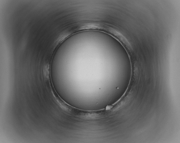 X0000110741233200906221022