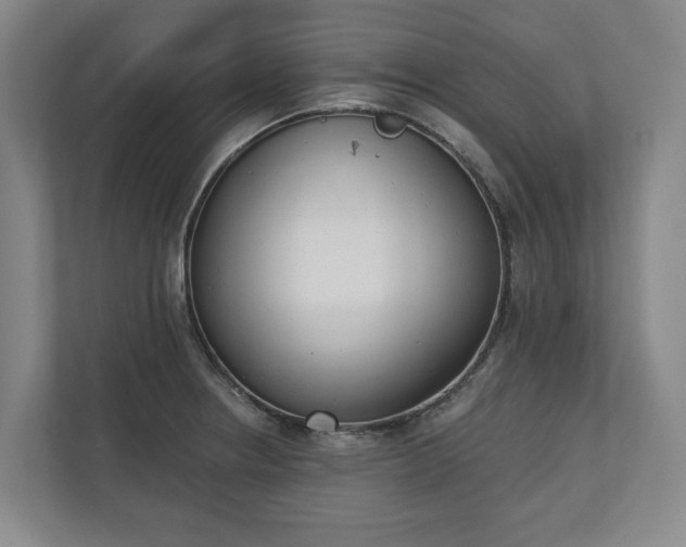 X0000110741234200906221022