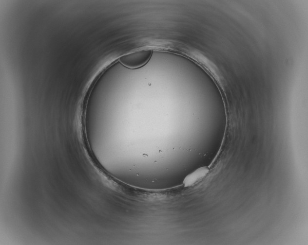 X0000110741235200906221022