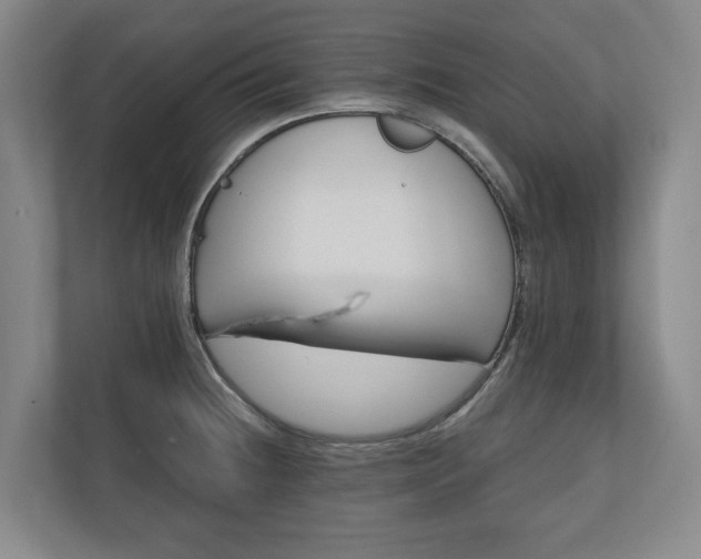 X0000110741236200906221022