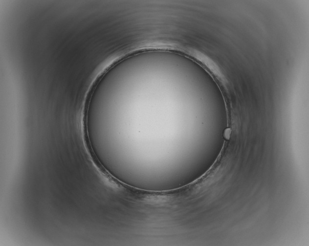 X0000110741237200906221022