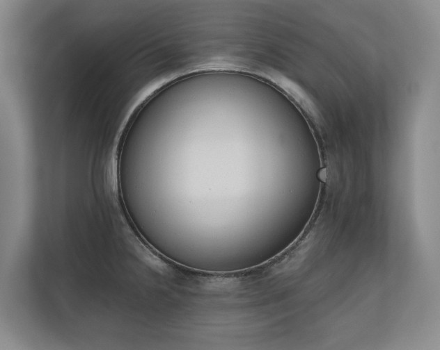 X0000110741238200906221022