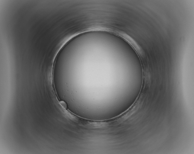 X0000110741244200906221022