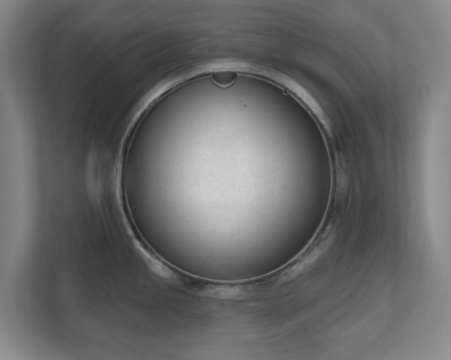 X0000110741245200906221022