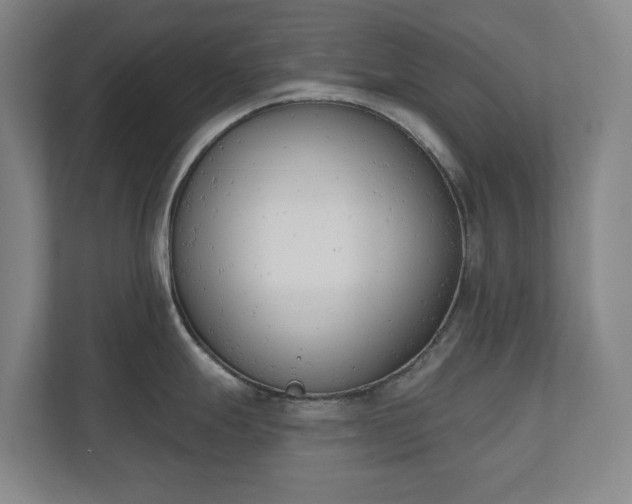 X0000110741247200906221022