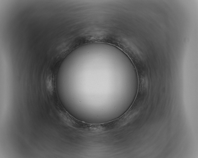 X0000110741250200906221022