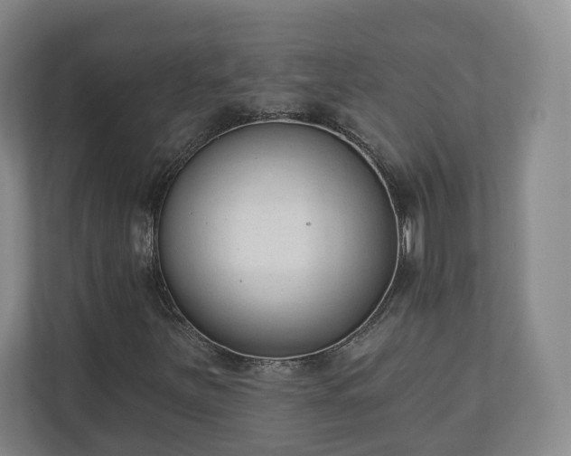 X0000110741251200906221022