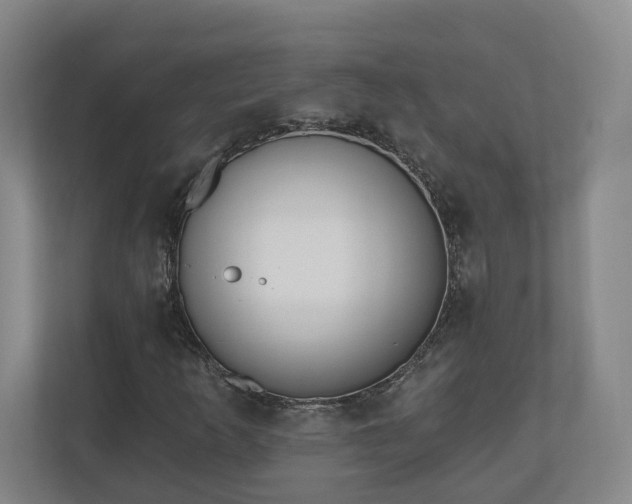 X0000110741253200906221022