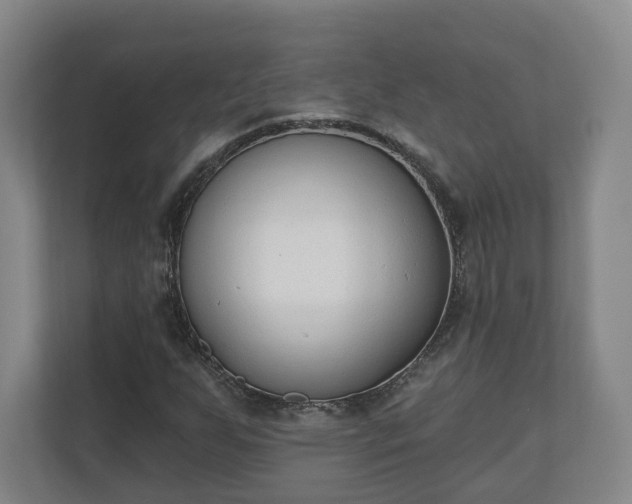 X0000110741255200906221021