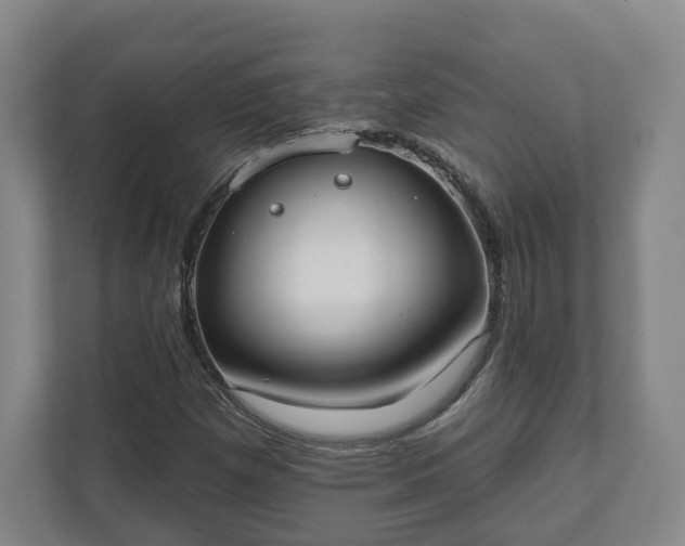 X0000110741257200906221021
