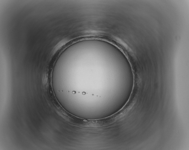 X0000110741259200906221021