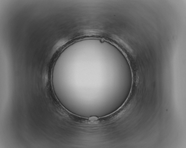 X0000110741261200906221021