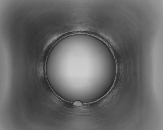 X0000110741262200906221021