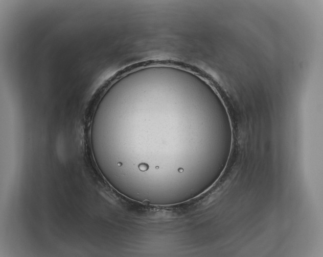 X0000110741263200906221021