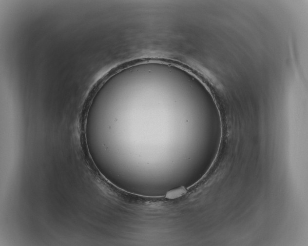 X0000110741264200906221021