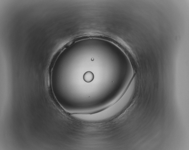 X0000110741269200906221021