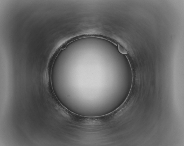 X0000110741270200906221021