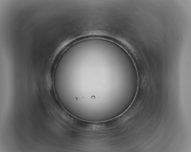 X0000110741271200906221021