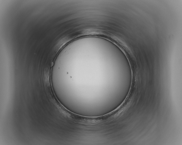 X0000110741273200906221021