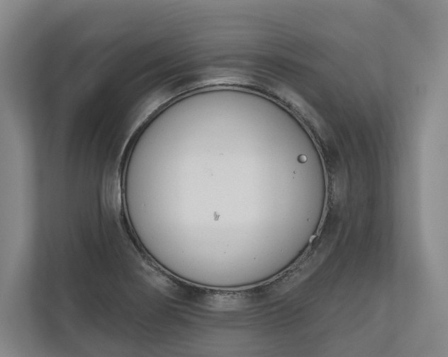 X0000110741274200906221021