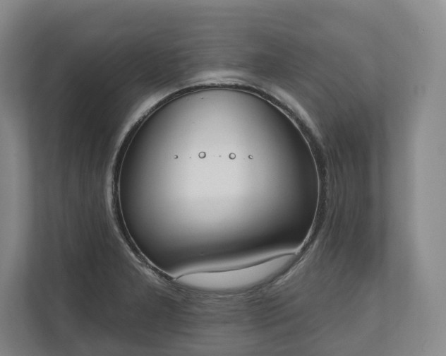 X0000110741277200906221021