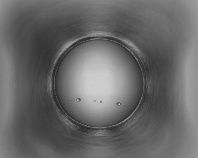 X0000110741279200906221021