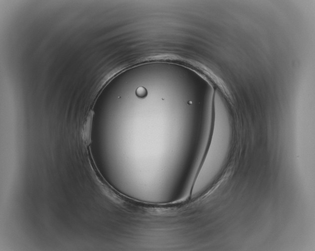 X0000110741281200906221021