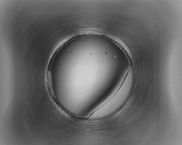 X0000110741285200906221021