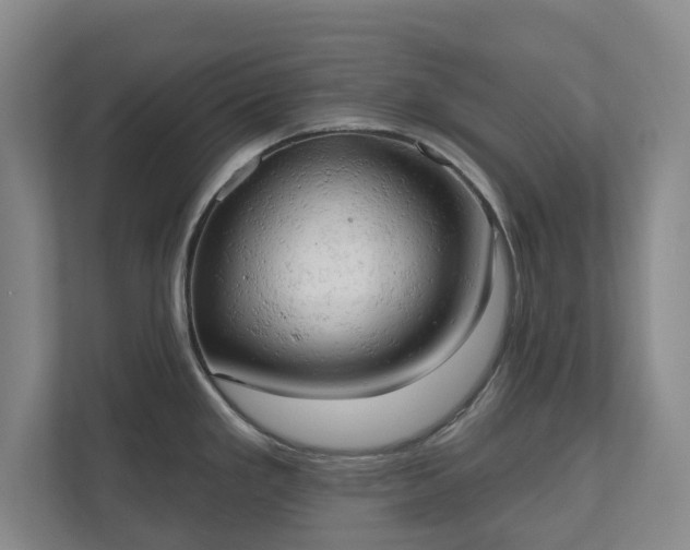 X0000110741293200906221021