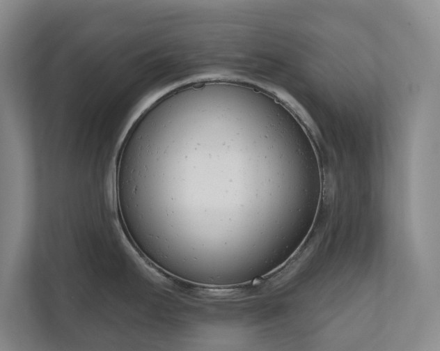 X0000110741295200906221021