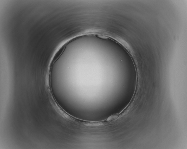 X0000110741296200906221021