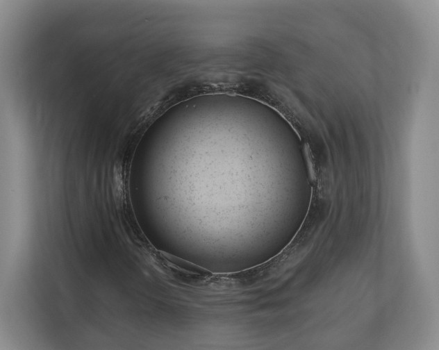 X0000110741298200906221020