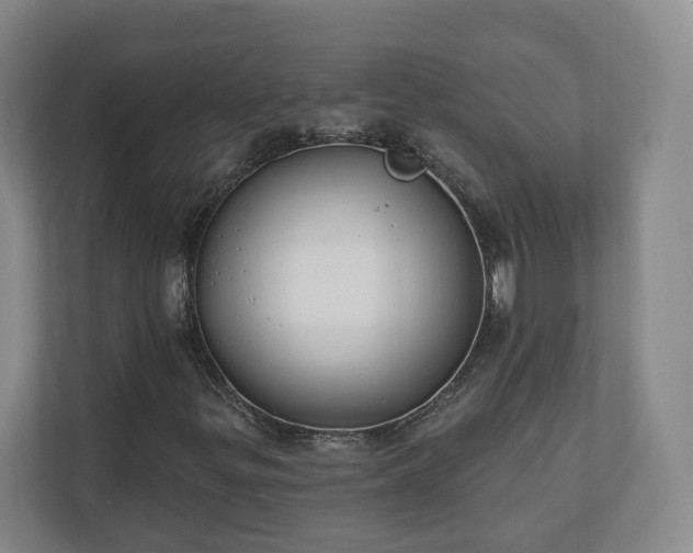 X0000110741299200906221020