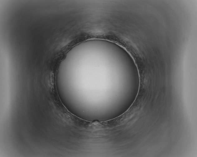 X0000110741301200906221020