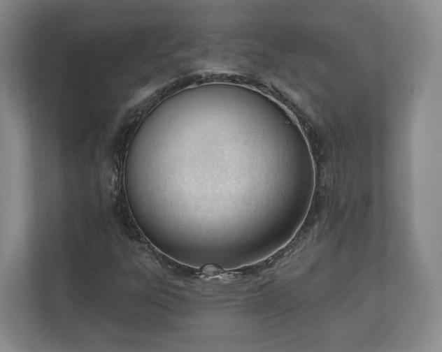 X0000110741303200906221020