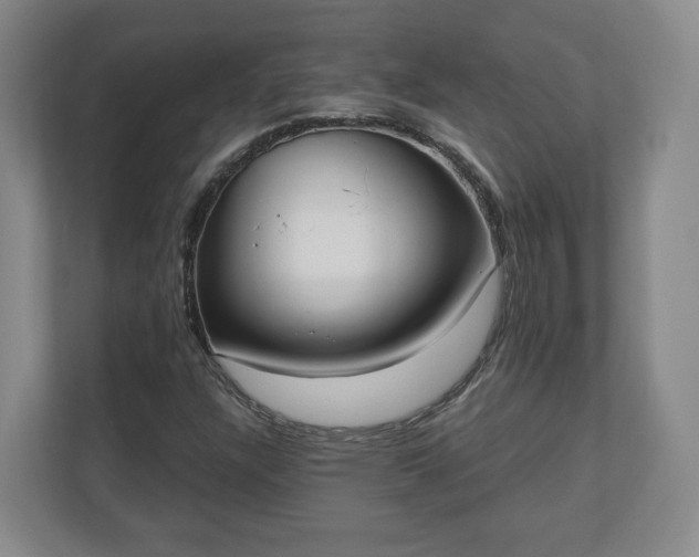 X0000110741304200906221020