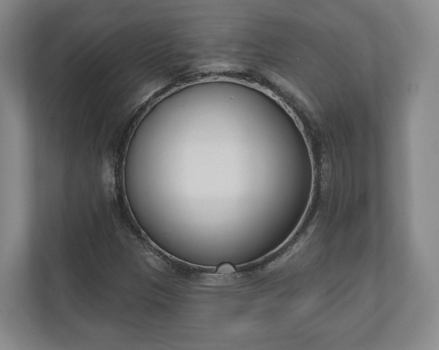 X0000110741305200906221020