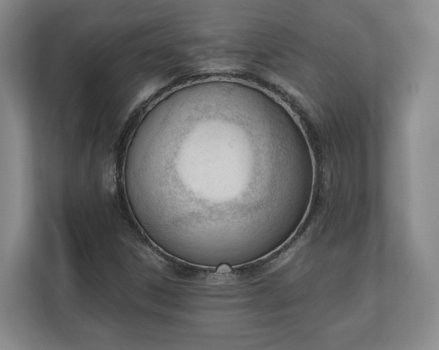 X0000110741306200906221020