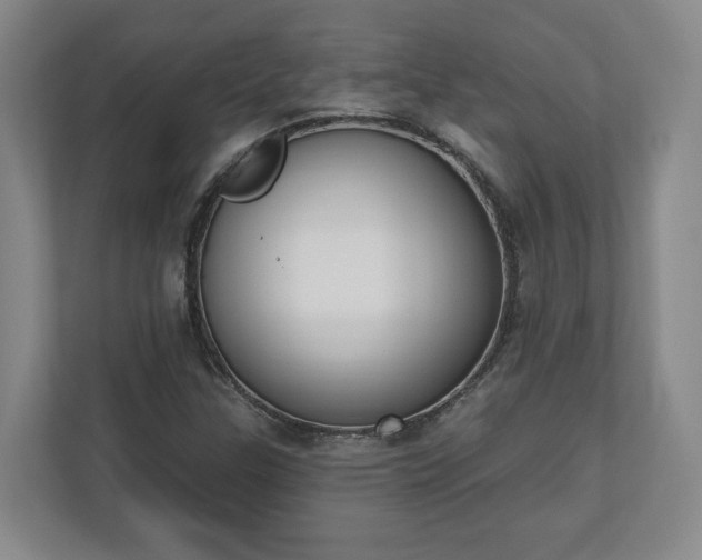 X0000110741307200906221020